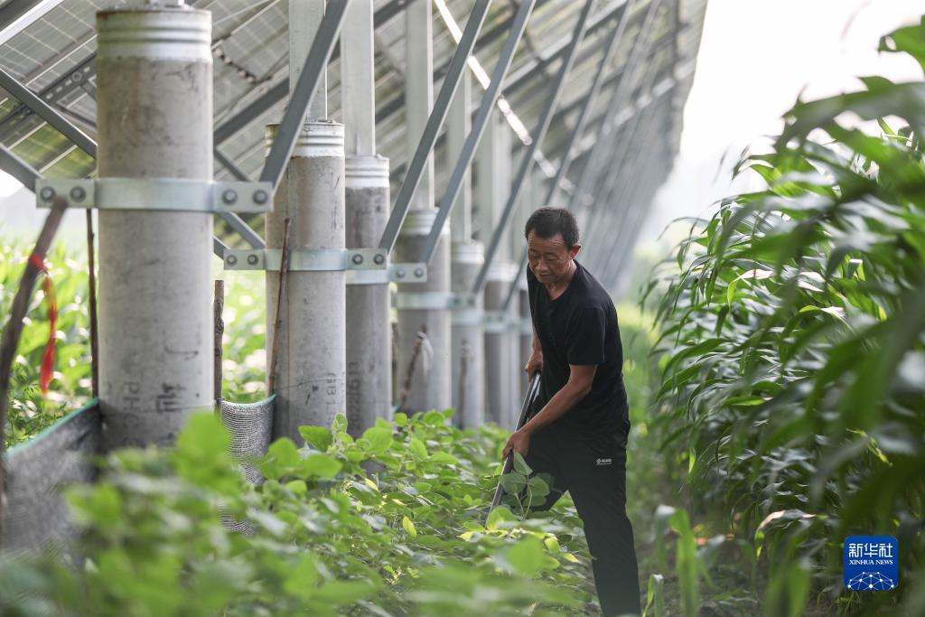 水果大满贯老虎机